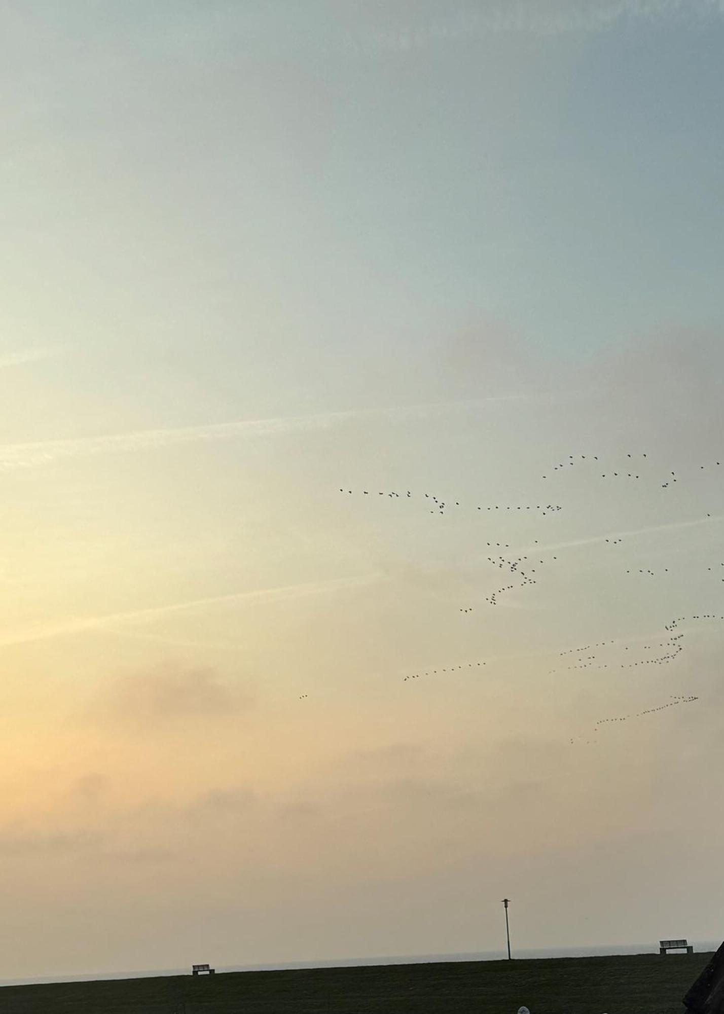 Meerzeit Strandhotel Neuharlingersiel Kültér fotó